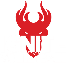 Ignite Volleyball Club banner logo