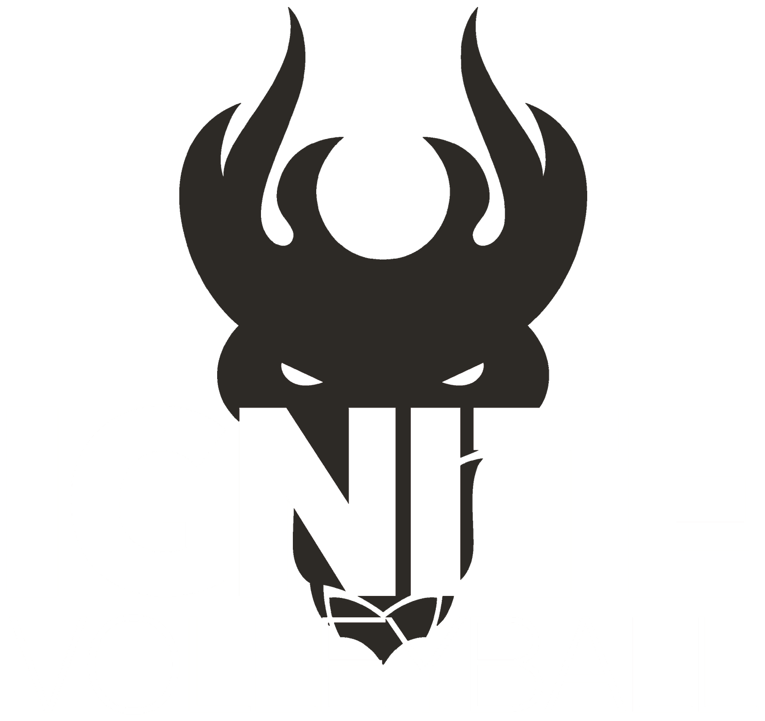 Ignite Volleyball Club