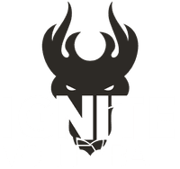 Ignite Volleyball Club banner logo