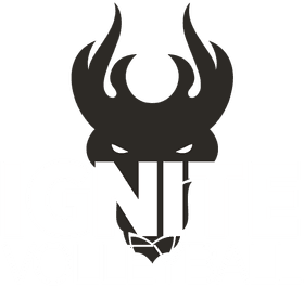 Ignite Volleyball Club banner logo